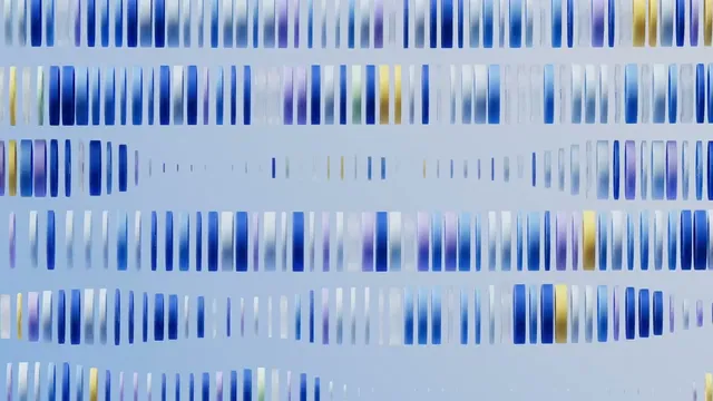 IBM | Enterprise Advantage