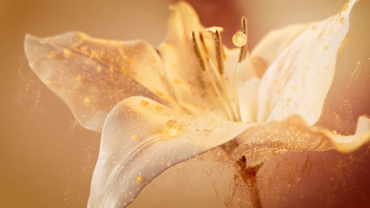 True Botanicals -  Director's cut — by Viacheslav Marushchenko