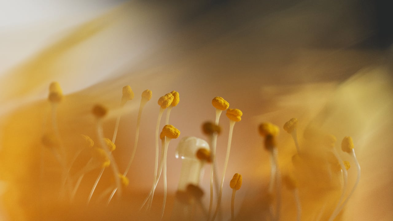 SHISEIDO THE GINZA | Perceptive Complex, Eye Cream & Hybrid Gel-Oil — by Trizz Studio