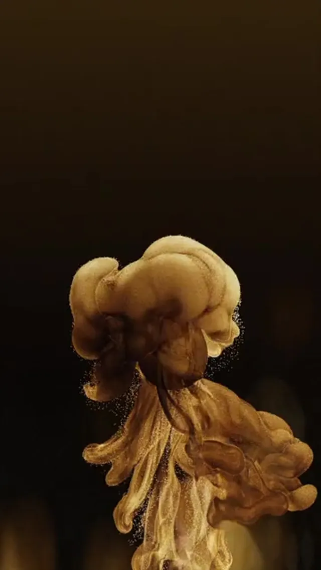 FutureFlorals